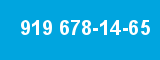 919 678-14-65 919 678-14-65